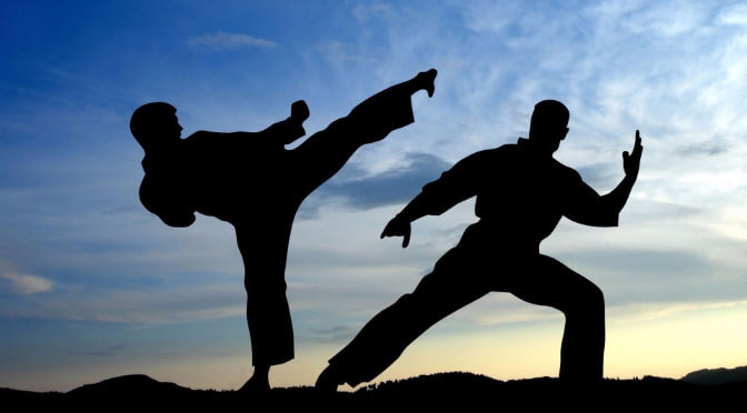 Karate Fight Silhouette